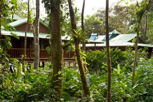 Selva Verde Lodge 011